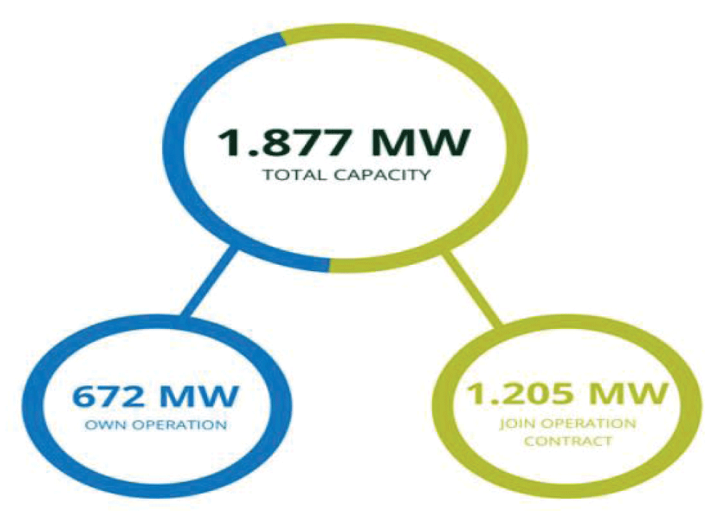 Geothermal Energy Power Plants Development by Pertamina Geothermal Energy [34].