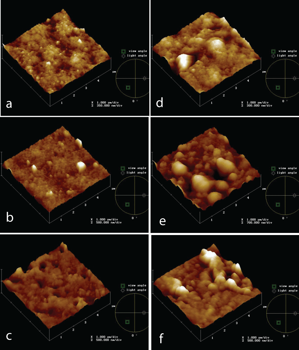 AFM topographies of new and after 4h in the IWW beaker PVDF 0.5 mm (a, d, respectively), PVDF 0.2 mm (b, d, respectively), PS 0.2 mm (c, f, respectively) membranes.