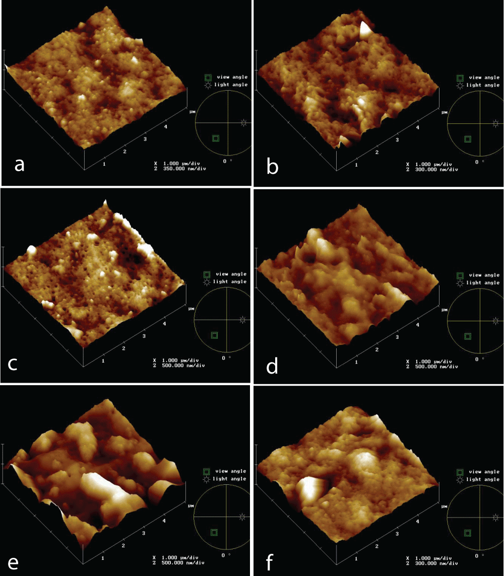 AFM topographies of PVDF 0.5 mm membrane new (a) and at different times of IWW beaker immersion test: 5’ (b), 30’ (c), 60’ (d), 2h (e), 4h (f)