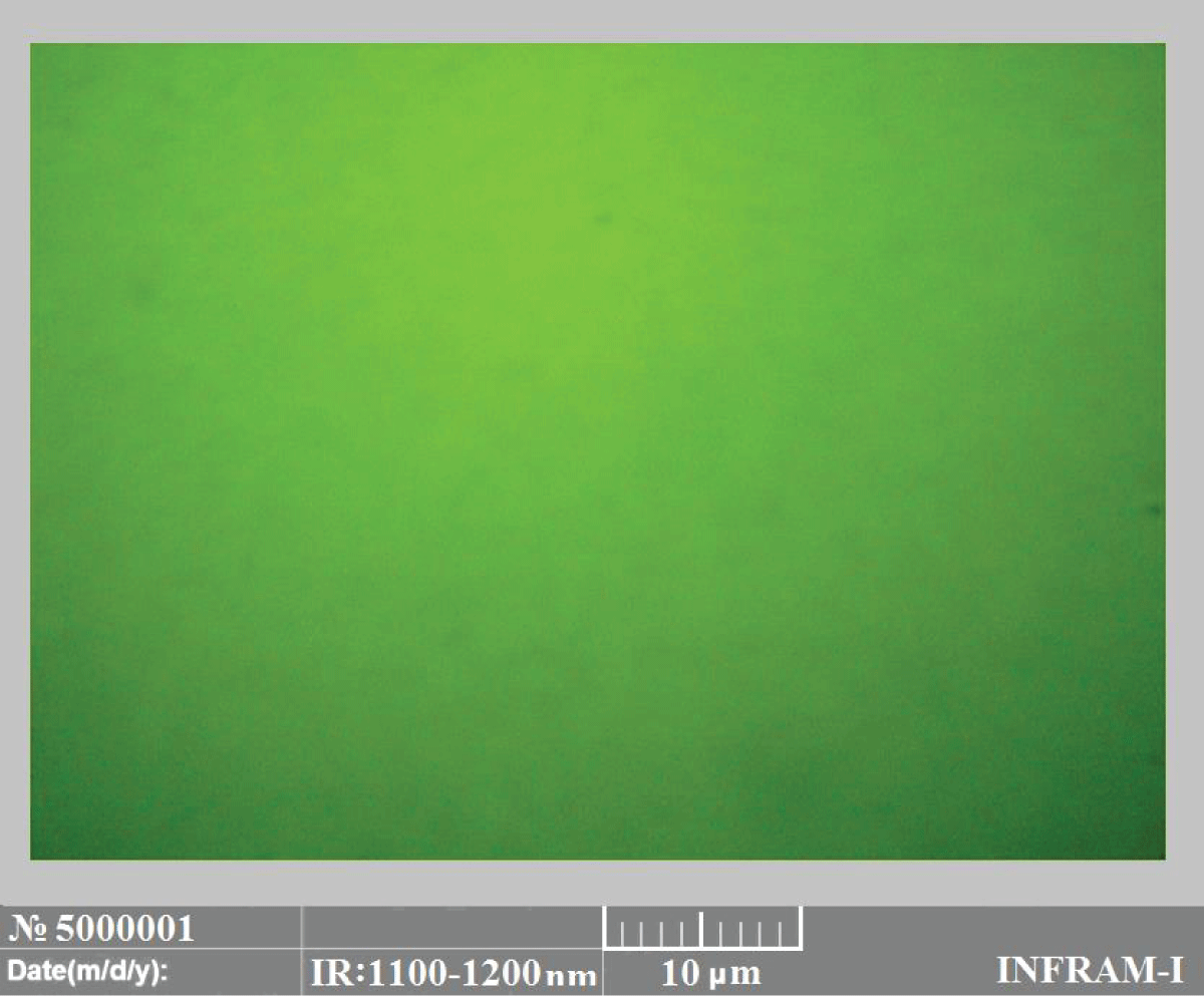 Micrograph of the bulk of a silicon sample into which gadolinium was diffused using conventional high-temperature diffusion technology.