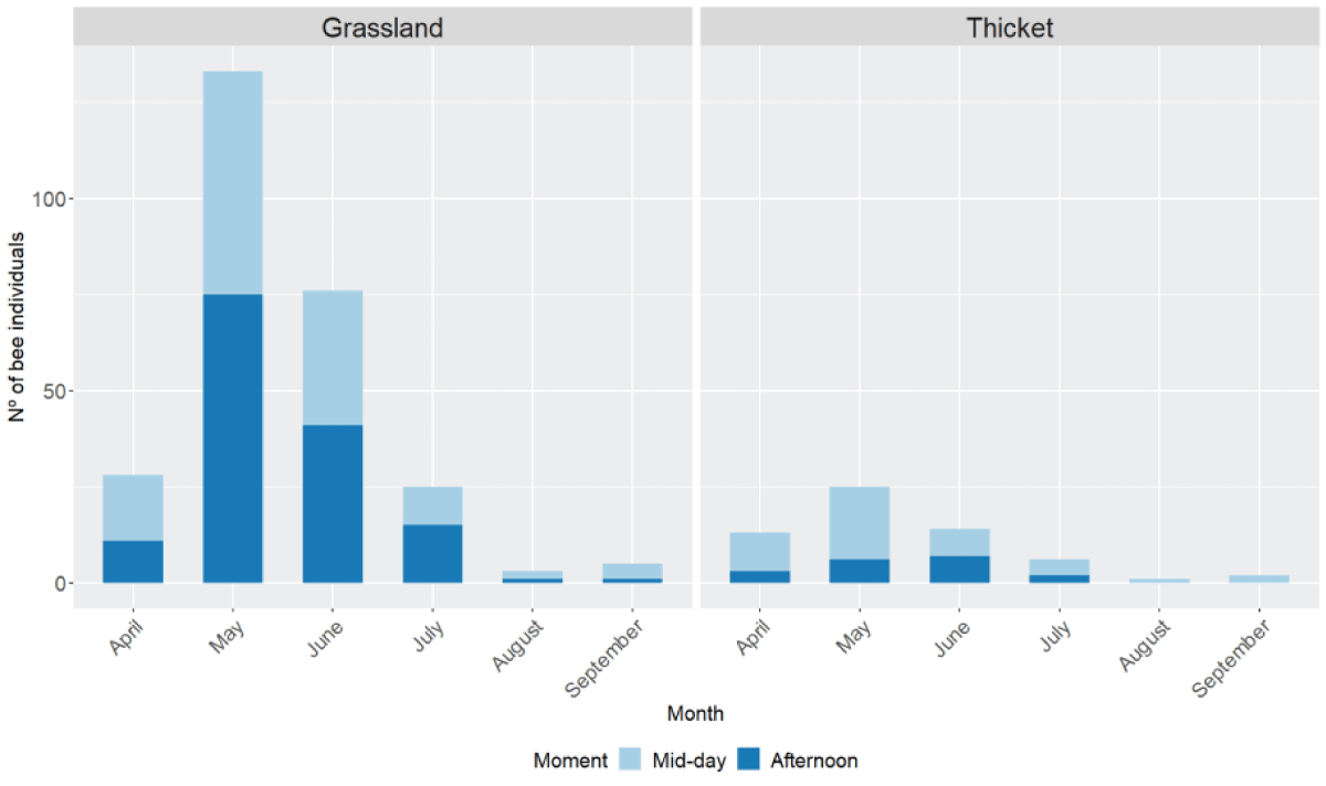 Number of bee individuals collected on each month (Month) and moment of the day (Moment) (mid-day (light blue, from 13:00 to15:00) and afternoon (dark blue, spring-summer from 19:00 - 21:00, and autumn-winter from 16:00 - 18:00)) at both sites, grassland (left) and thicket (right). From the 28th of June of 2017 until the 3rd of June of 2019.