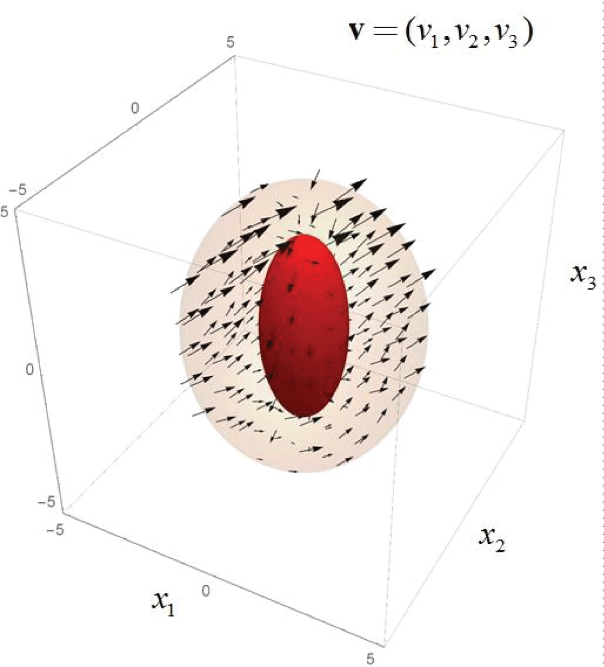 The 3D velocity field v = (v1, v2, v3) in the three-dimensional space (x1, x2, x3).