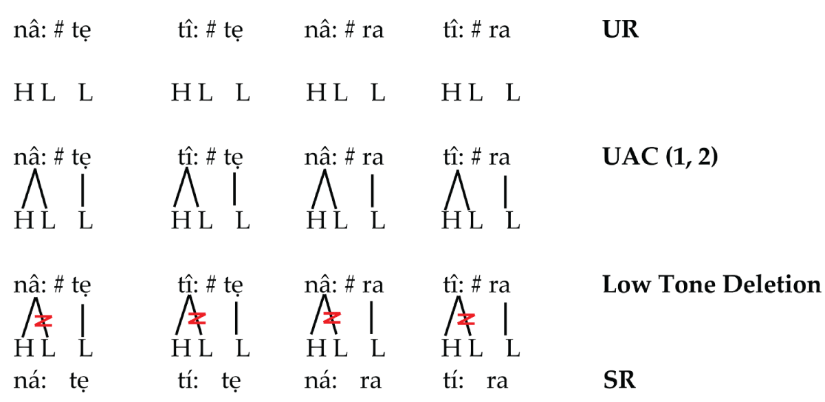 Low Tone Deletion Rule application.