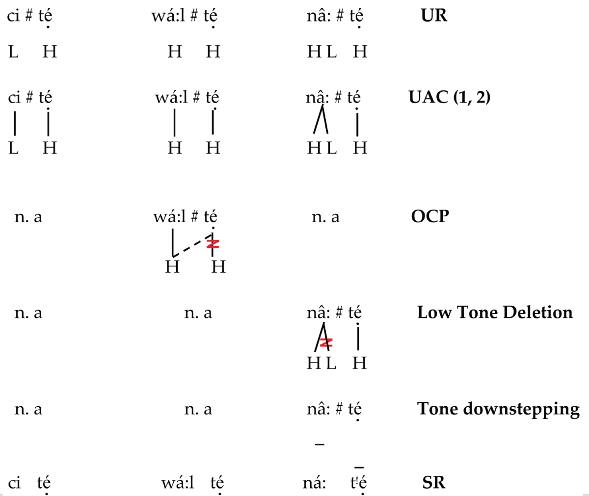 Form 1 derivation application.