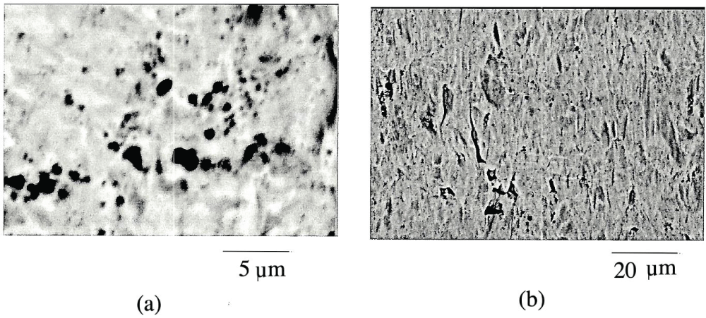 Ti/Al/V after 16 hours solid/liquid impingement with cathodic protection (a) centre of specimen, under the impinging jet, (b) outer regions of specimen.