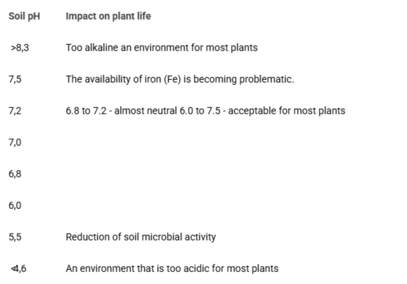 <p>Effect of soil medium on plant growth.</p>