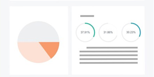 Review Report Template